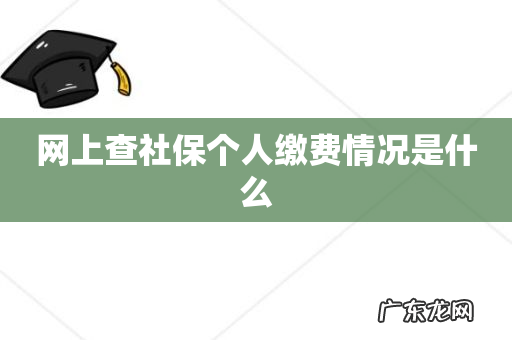 网上查社保个人缴费情况是什么