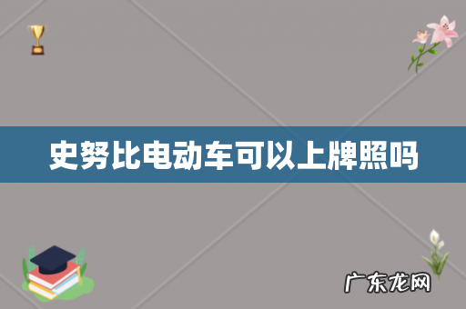 史努比电动车可以上牌照吗