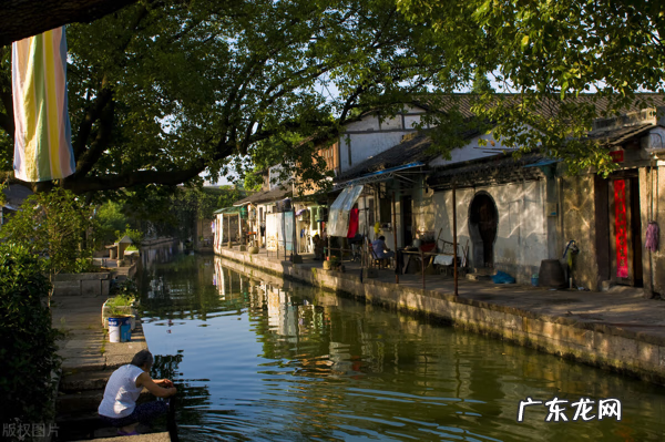 晚上看到白猫吉利吗 风水晚上看到白猫和花猫