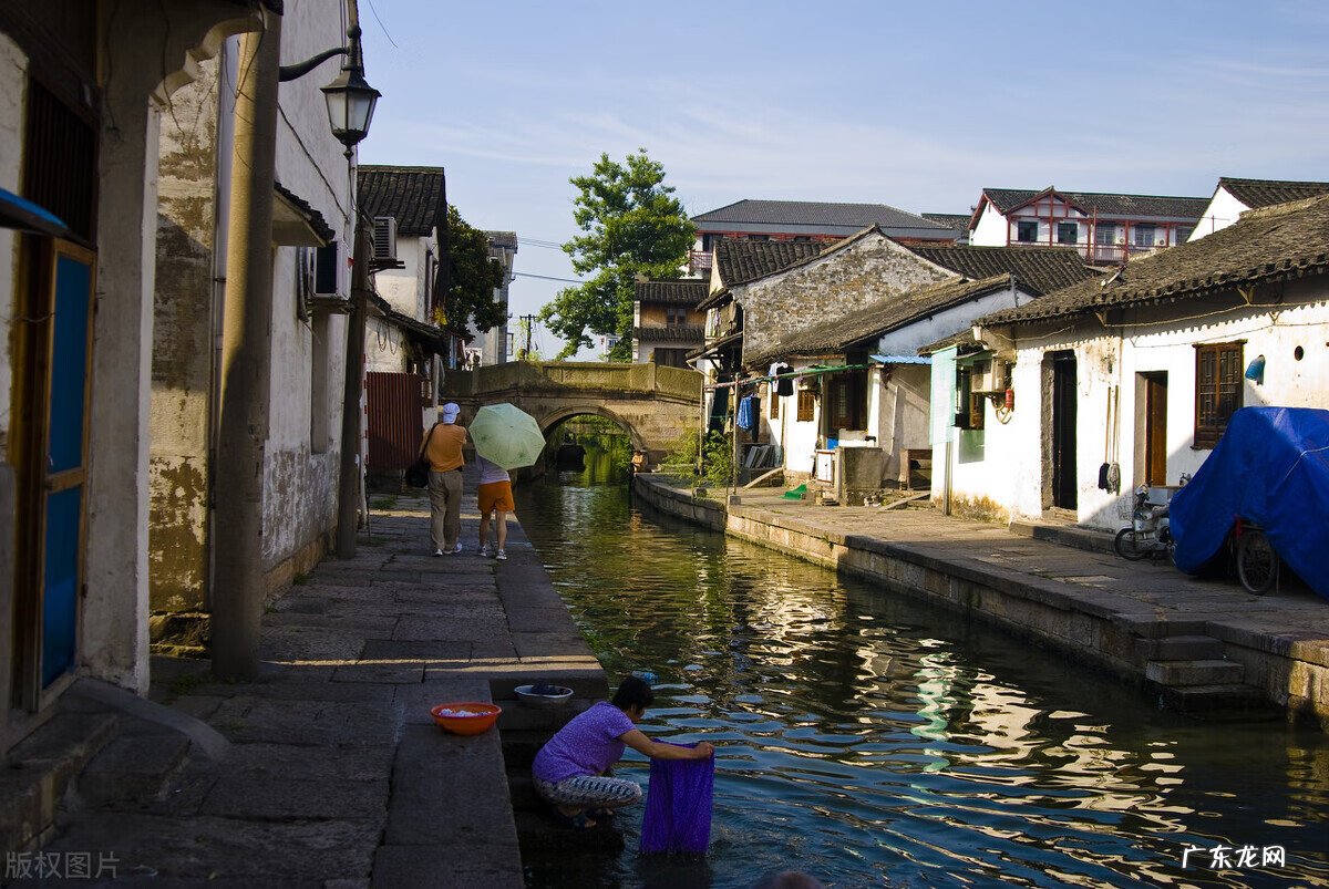 晚上看到白猫吉利吗 风水晚上看到白猫和花猫