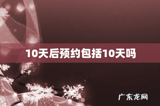 10天后预约包括10天吗