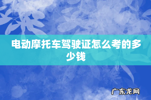 电动摩托车驾驶证怎么考的多少钱
