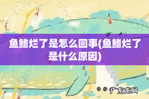 鱼鳍烂了是什么原因 鱼鳍烂了是怎么回事