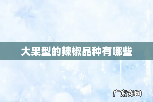 大果型的辣椒品种有哪些