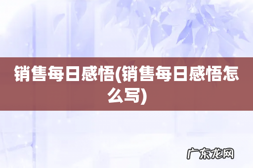 销售每日感悟怎么写 销售每日感悟