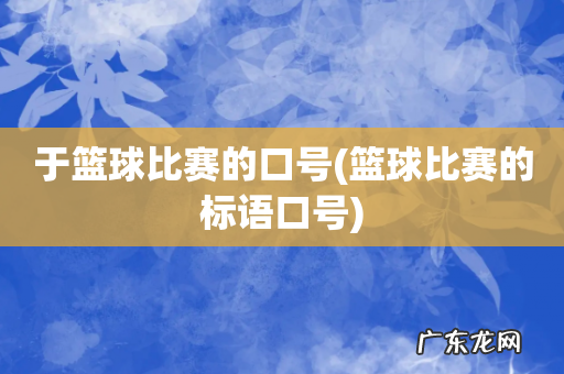篮球比赛的标语口号 于篮球比赛的口号