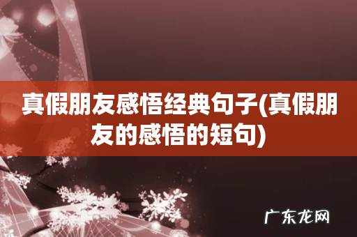 真假朋友的感悟的短句 真假朋友感悟经典句子