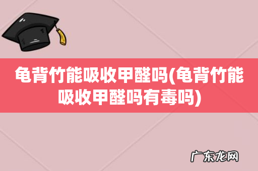 龟背竹能吸收甲醛吗有毒吗 龟背竹能吸收甲醛吗