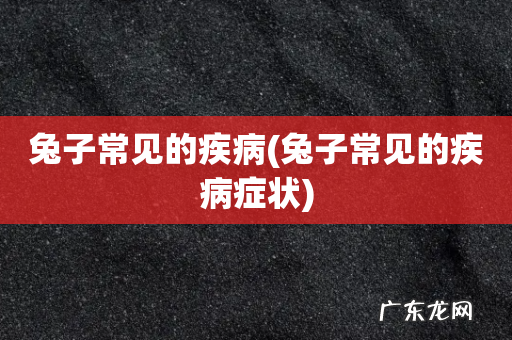 兔子常见的疾病症状 兔子常见的疾病