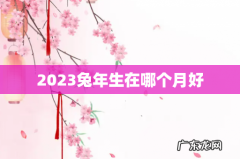 2023兔年生在哪个月好