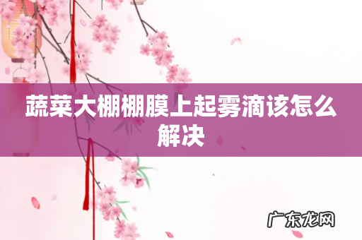 蔬菜大棚棚膜上起雾滴该怎么解决