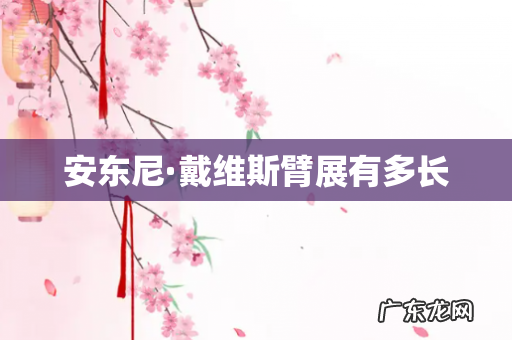 安东尼·戴维斯臂展有多长