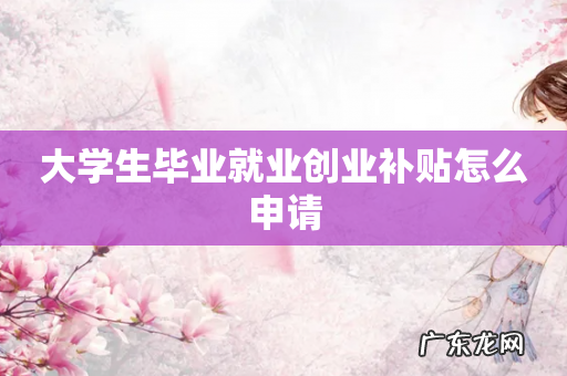 大学生毕业就业创业补贴怎么申请