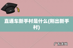刚出新手村 直通车新手村是什么