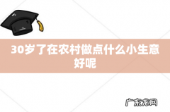 30岁了在农村做点什么小生意好呢