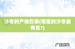 哪里的沙枣最有名? 沙枣的产地在哪