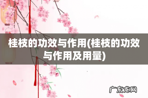 桂枝的功效与作用及用量 桂枝的功效与作用