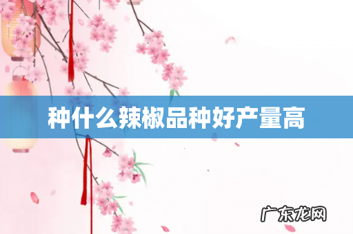 种什么辣椒品种好产量高