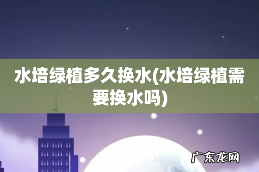 水培绿植需要换水吗 水培绿植多久换水