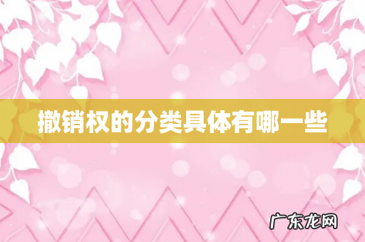 撤销权的分类具体有哪一些