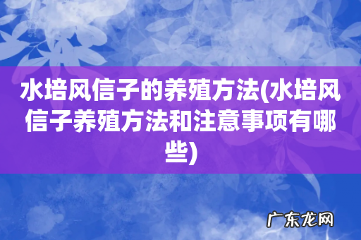 水培风信子养殖方法和注意事项有哪些 水培风信子的养殖方法