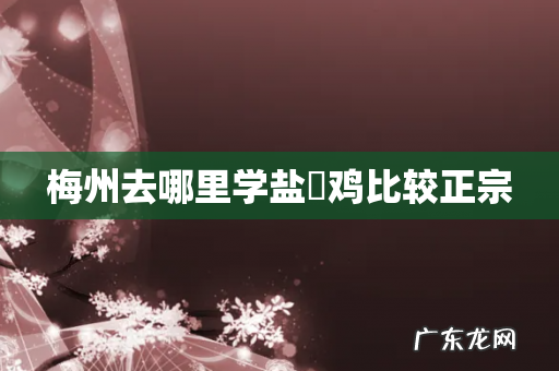 梅州去哪里学盐焗鸡比较正宗