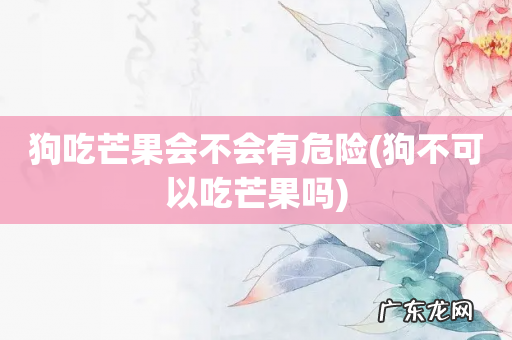 狗不可以吃芒果吗 狗吃芒果会不会有危险