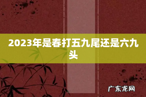 2023年是春打五九尾还是六九头