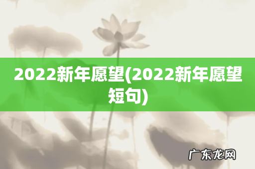 2022新年愿望短句 2022新年愿望