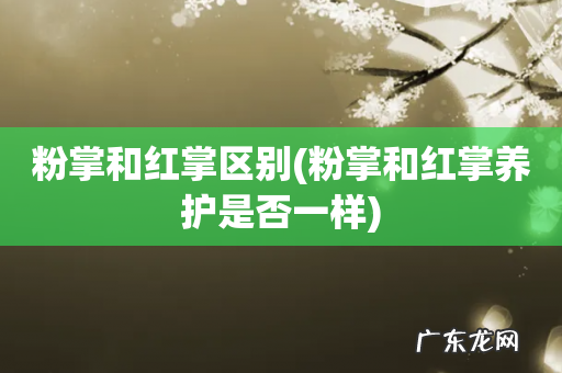 粉掌和红掌养护是否一样 粉掌和红掌区别