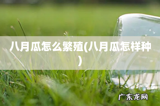 八月瓜怎样种 八月瓜怎么繁殖