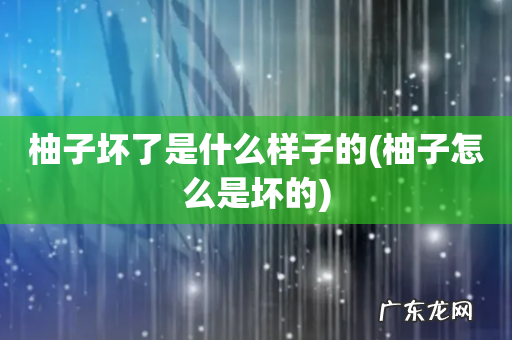 柚子怎么是坏的 柚子坏了是什么样子的