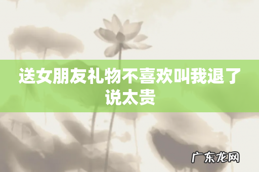 送女朋友礼物不喜欢叫我退了说太贵