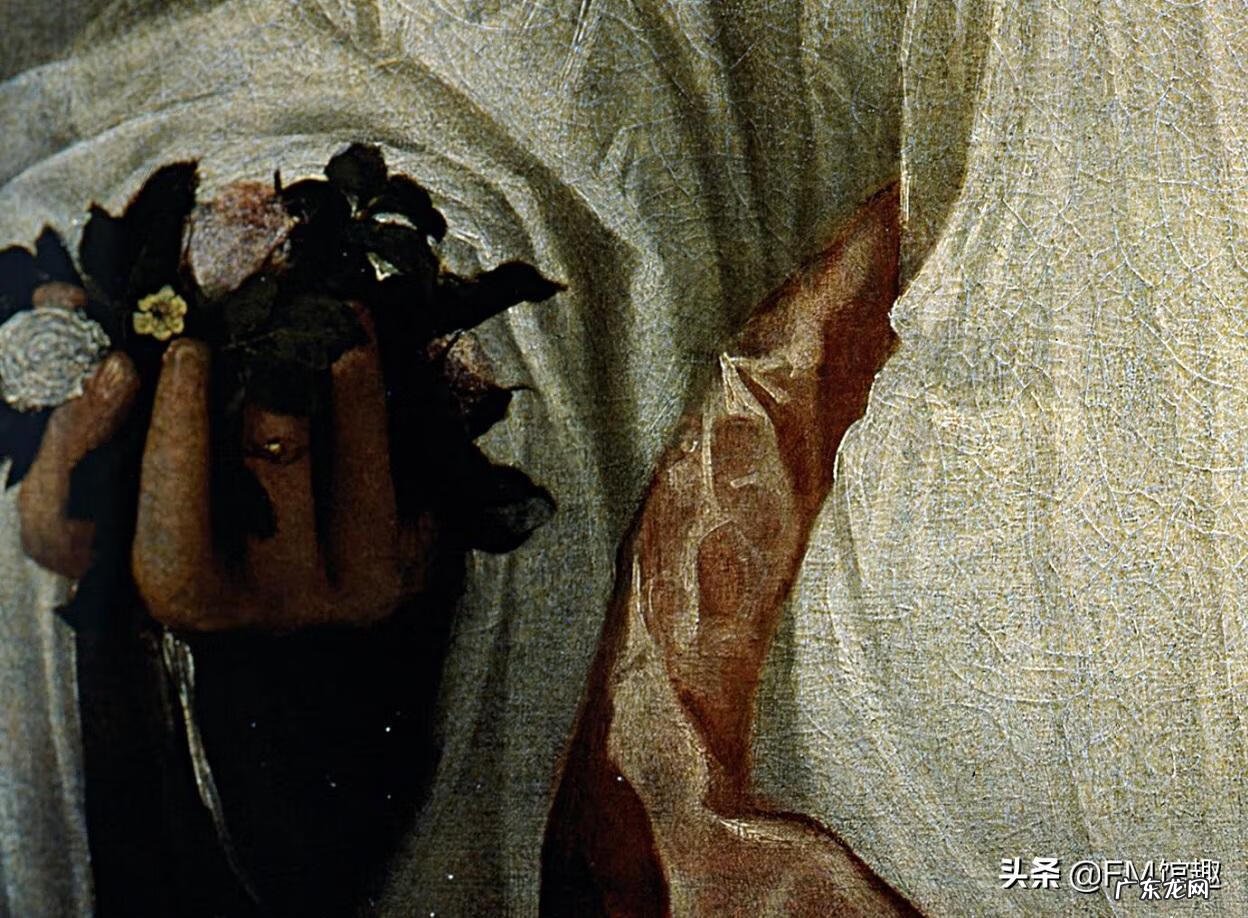 芙罗拉精灵宝可梦 芙罗拉