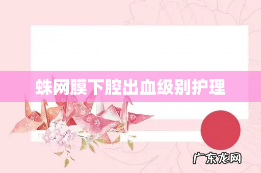 蛛网膜下腔出血级别护理