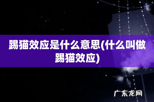 什么叫做踢猫效应 踢猫效应是什么意思
