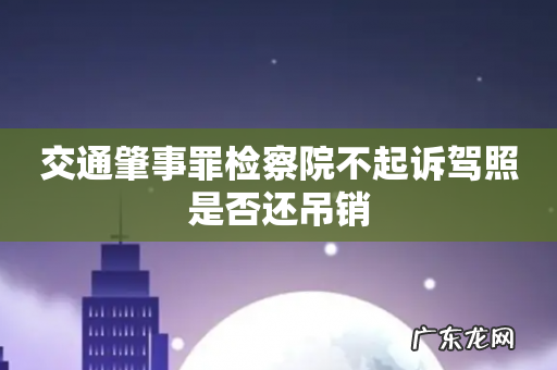 交通肇事罪检察院不起诉驾照是否还吊销