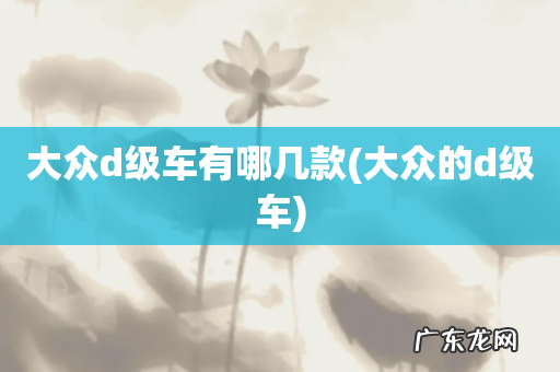 大众的d级车 大众d级车有哪几款