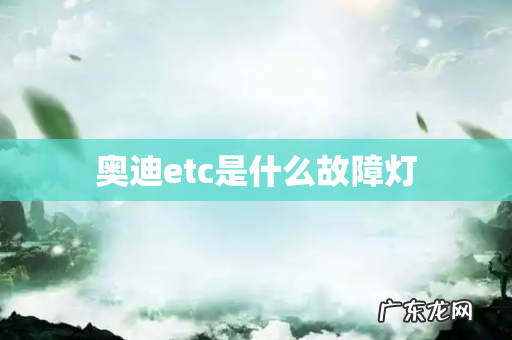 奥迪etc是什么故障灯