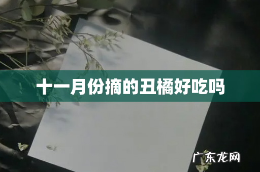 十一月份摘的丑橘好吃吗