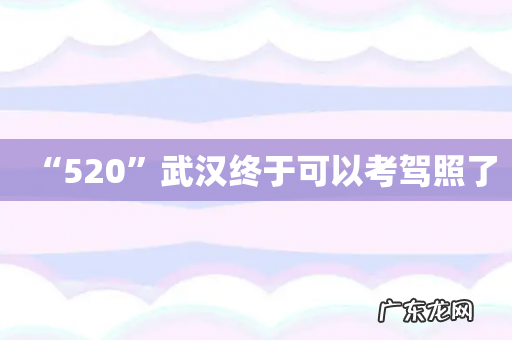 “520”武汉终于可以考驾照了