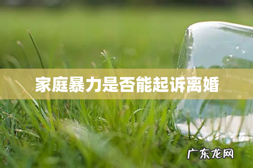 家庭暴力是否能起诉离婚