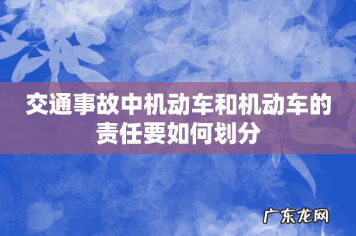 交通事故中机动车和机动车的责任要如何划分