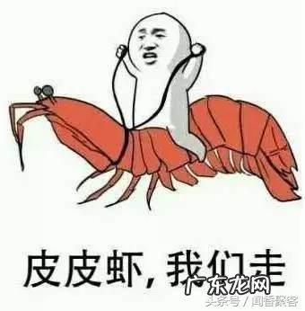 虾皮能熬粥吗 皮皮虾 粥