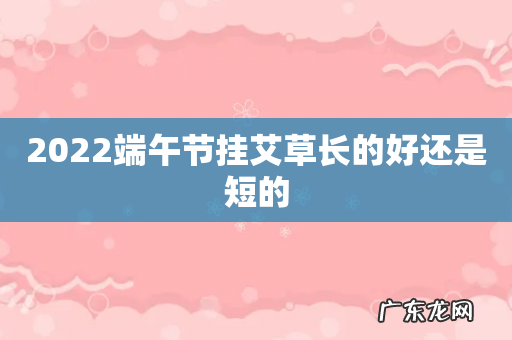 2022端午节挂艾草长的好还是短的