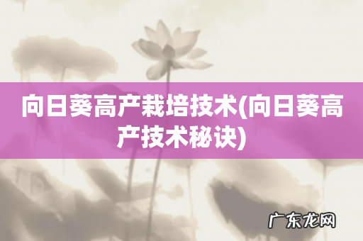 向日葵高产技术秘诀 向日葵高产栽培技术