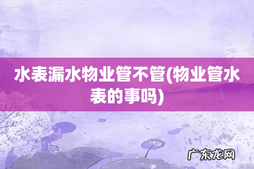 物业管水表的事吗 水表漏水物业管不管