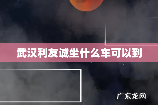 武汉利友诚坐什么车可以到