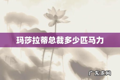 玛莎拉蒂总裁多少匹马力