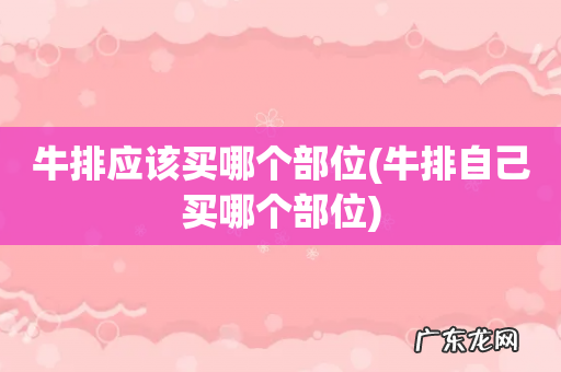 牛排自己买哪个部位 牛排应该买哪个部位